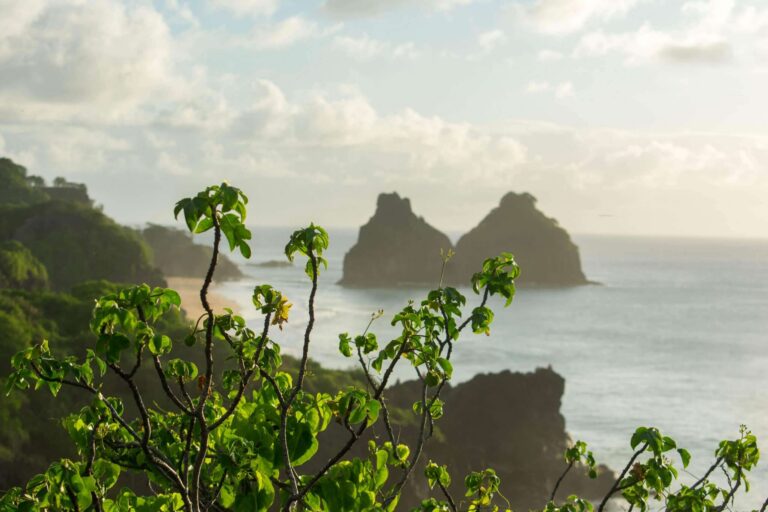 Fernando de Noronha fortalece turismo premium e hotelaria sustentável