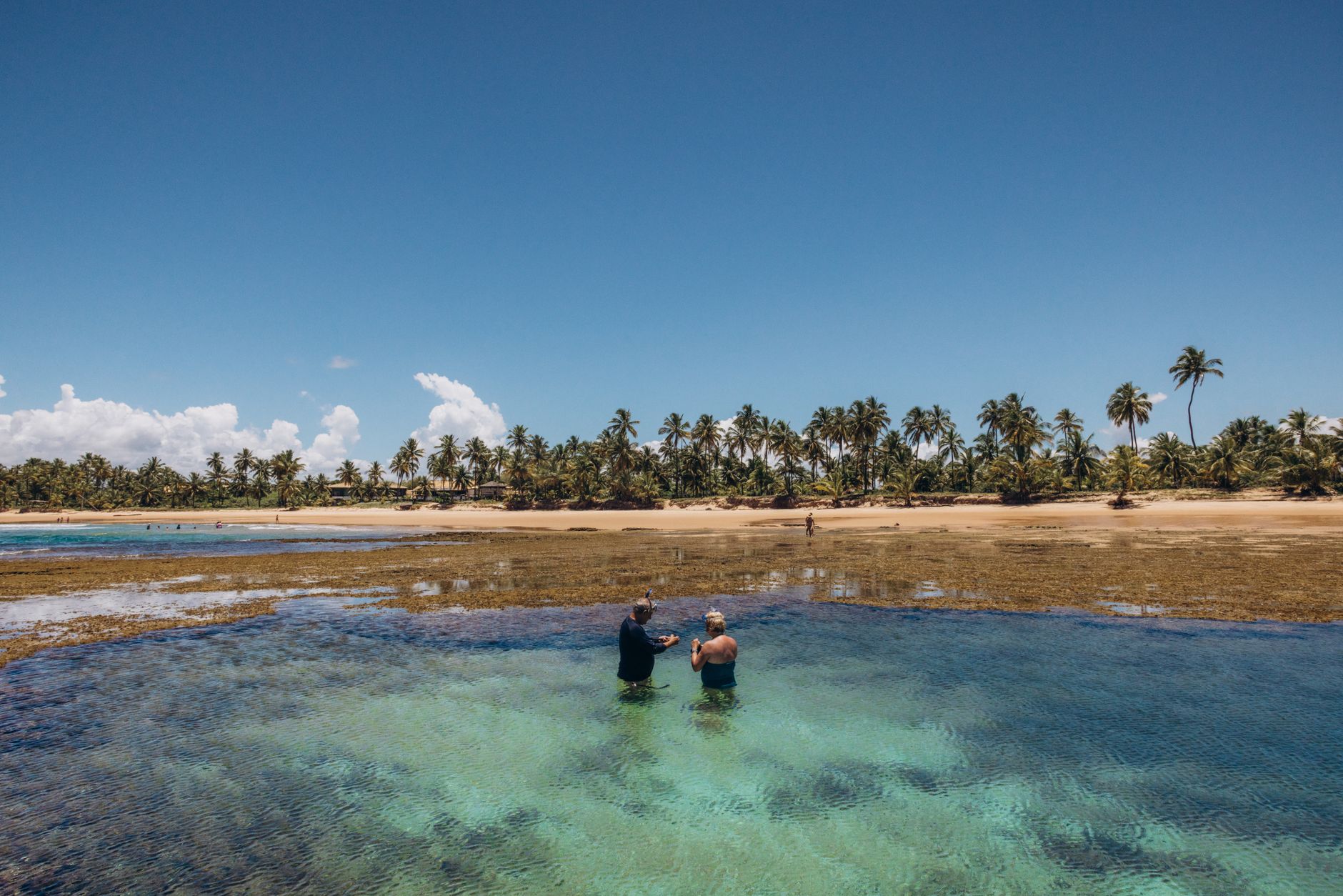 Illustration of Piscinas Naturais de Noronha: Lugares Incríveis e Preservação Essencial