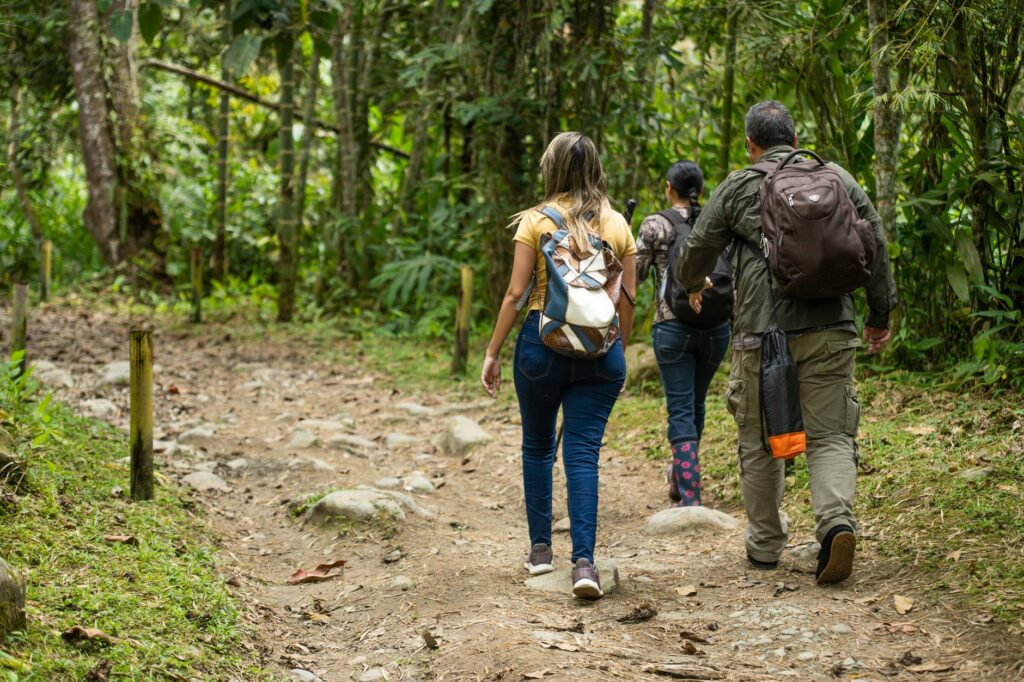 Trilhas: As Melhores De Noronha Para Ecoturismo Imperdível